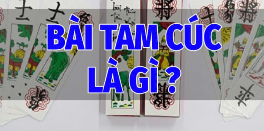 Bài Tam Cúc Fi88  Là Gì?